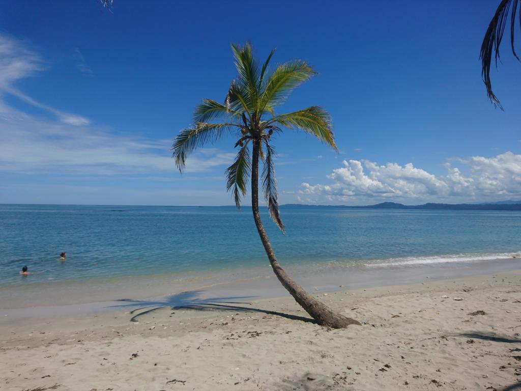 Casa Verde, Cahuita Εξωτερικό φωτογραφία